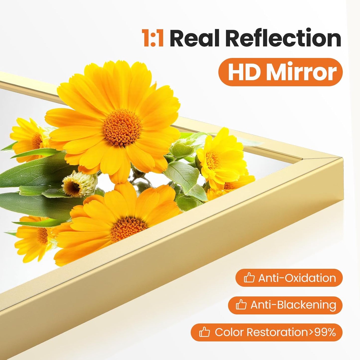 Sweetcrispy 20"x30" Arched Gold Bathroom Mirrors for Wall
