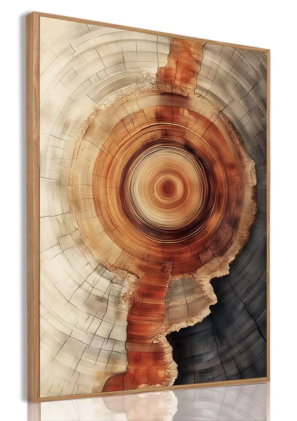 Tree Ring Wall Art Framed, Modern Nature Decor, Easy to Hang 12x16 Inch | The Art of Nature's Timeline,Affordable & High quality,Perfect for your Living Room,Bedroom,Bathroom & Office