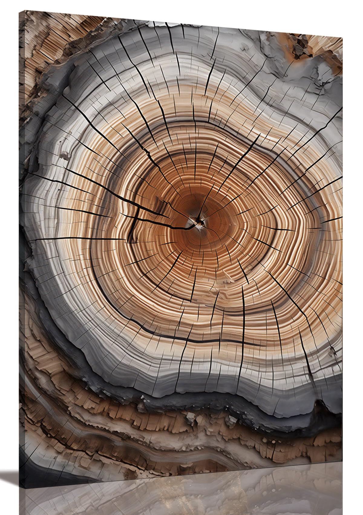 Tree Ring Wall Art Framed, Modern Nature Decor, Easy to Hang 12x16 Inch | The Art of Nature's Timeline,Affordable & High quality,Perfect for your Living Room,Bedroom,Bathroom & Office