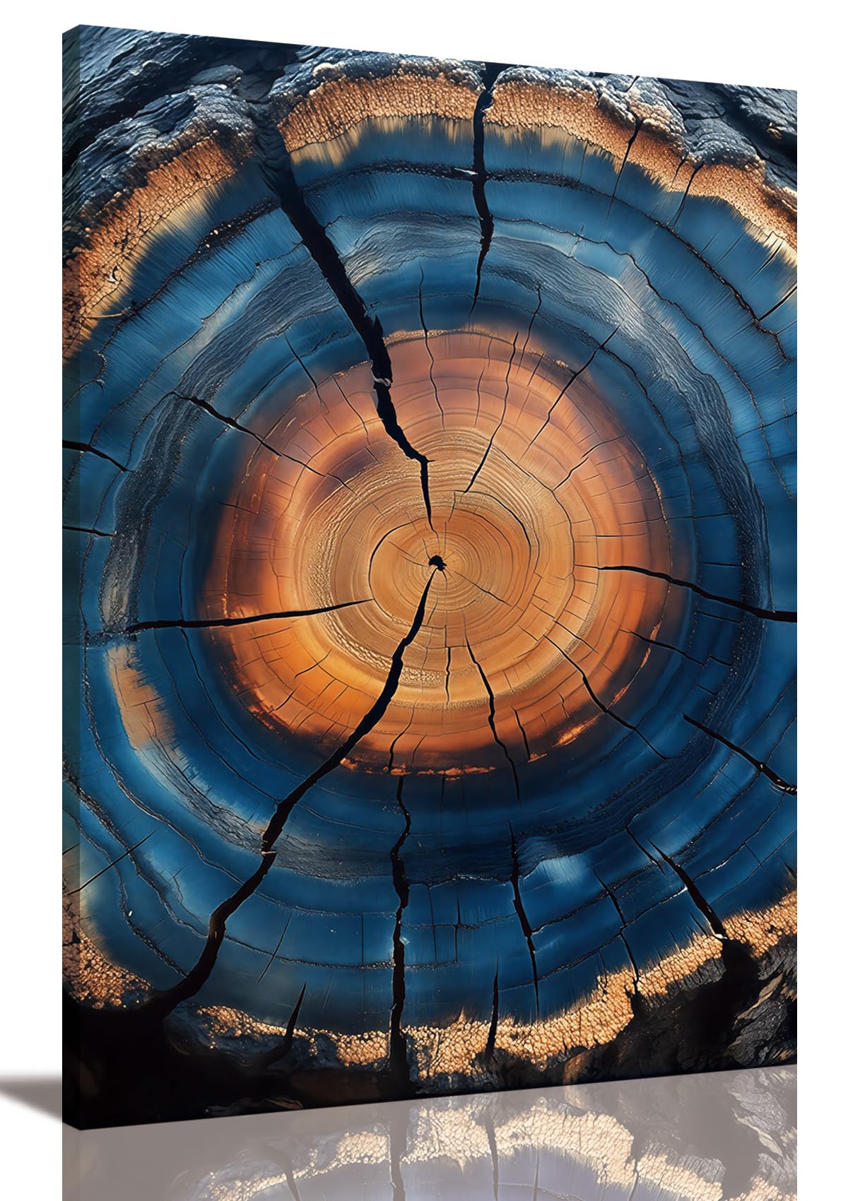 Tree Ring Wall Art Framed, Modern Nature Decor, Easy to Hang 12x16 Inch | The Art of Nature's Timeline,Affordable & High quality,Perfect for your Living Room,Bedroom,Bathroom & Office