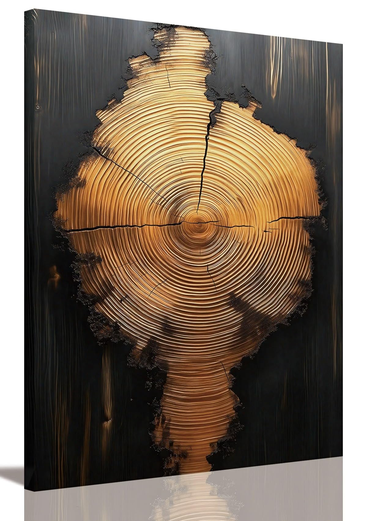Tree Ring Wall Art Framed, Modern Nature Decor, Easy to Hang 12x16 Inch | The Art of Nature's Timeline,Affordable & High quality,Perfect for your Living Room,Bedroom,Bathroom & Office