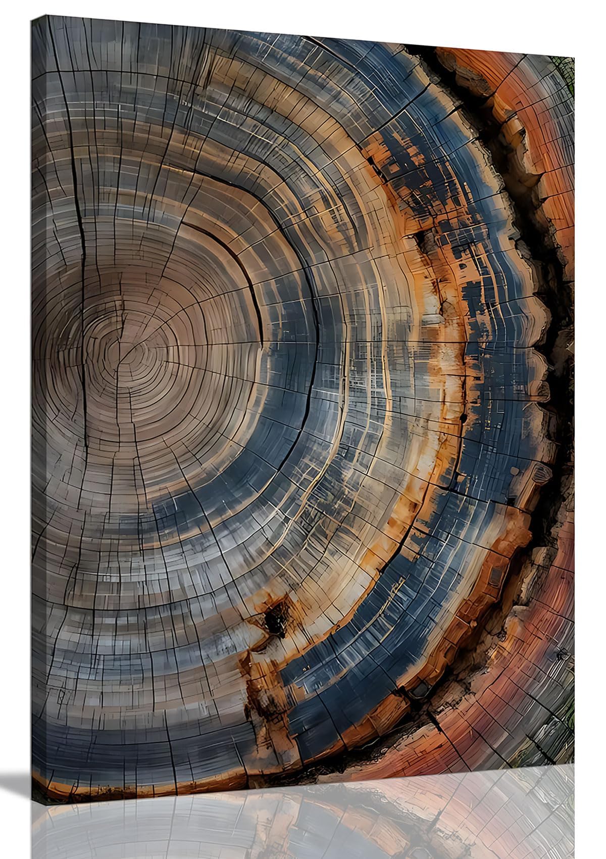 Tree Ring Wall Art Framed, Modern Nature Decor, Easy to Hang 12x16 Inch | The Art of Nature's Timeline,Affordable & High quality,Perfect for your Living Room,Bedroom,Bathroom & Office