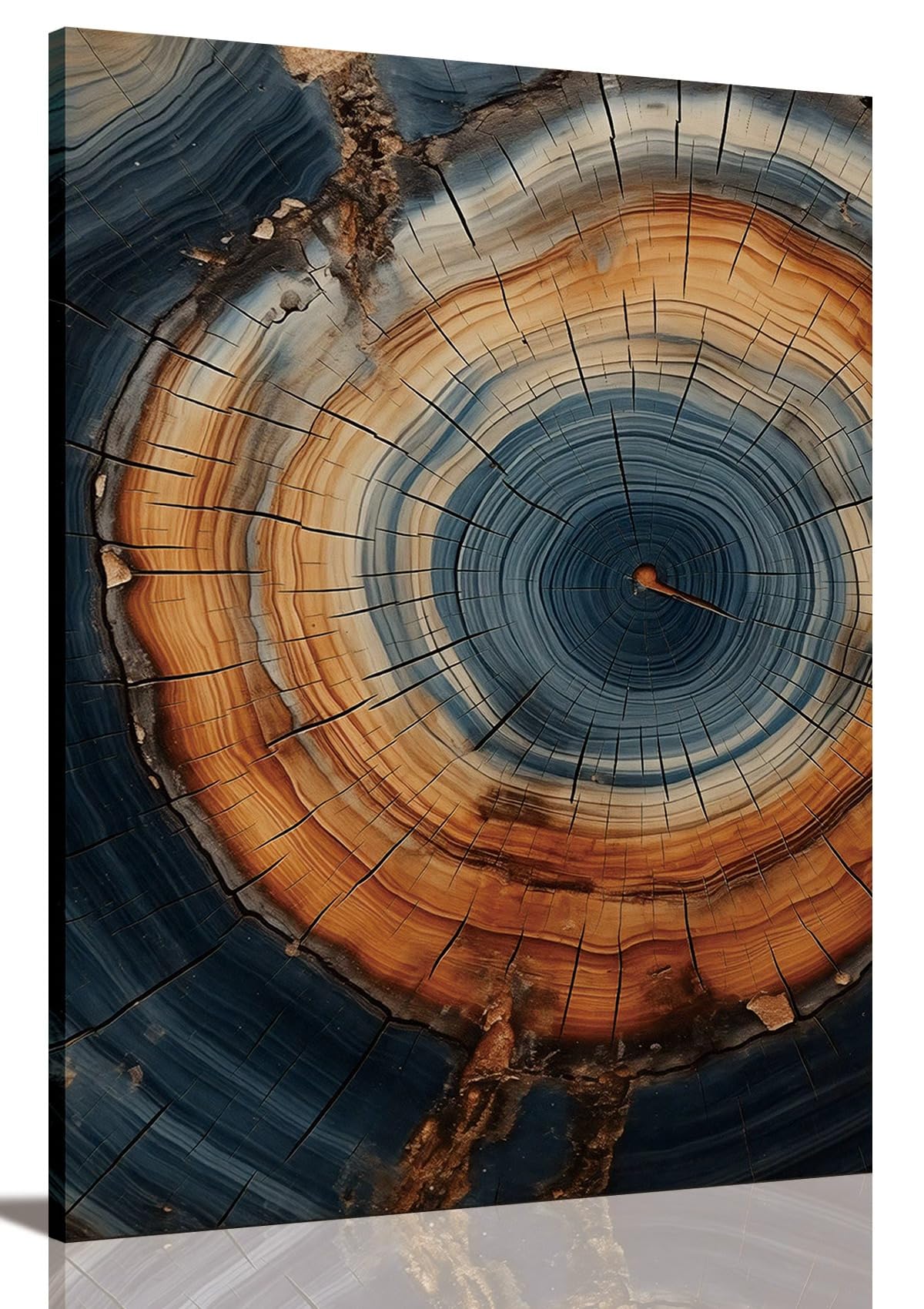 Tree Ring Wall Art Framed, Modern Nature Decor, Easy to Hang 12x16 Inch | The Art of Nature's Timeline,Affordable & High quality,Perfect for your Living Room,Bedroom,Bathroom & Office