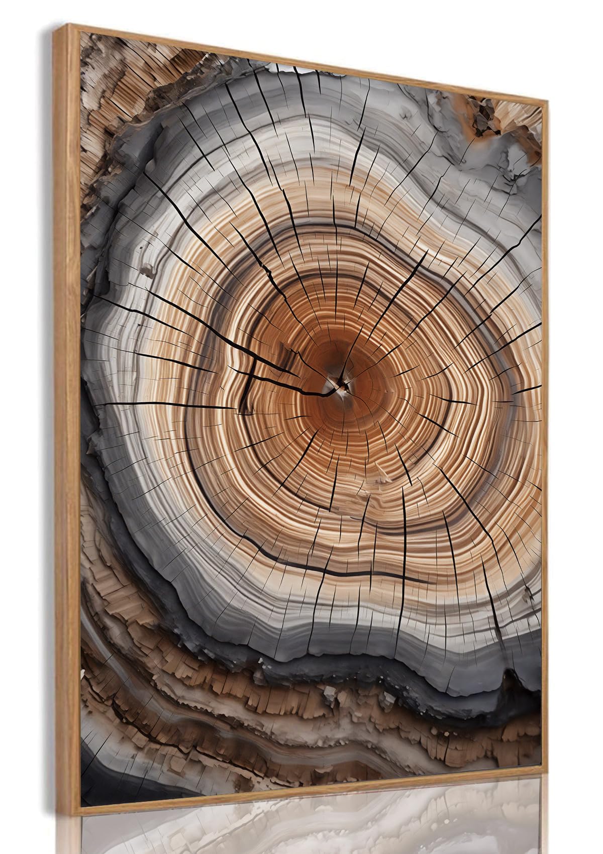 Tree Ring Wall Art Framed, Modern Nature Decor, Easy to Hang 12x16 Inch | The Art of Nature's Timeline,Affordable & High quality,Perfect for your Living Room,Bedroom,Bathroom & Office